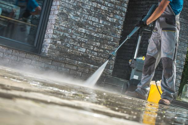 Best Roof Washing  in New Albany, MS