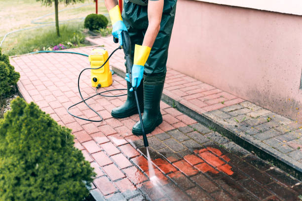Best Driveway Pressure Washing  in New Albany, MS