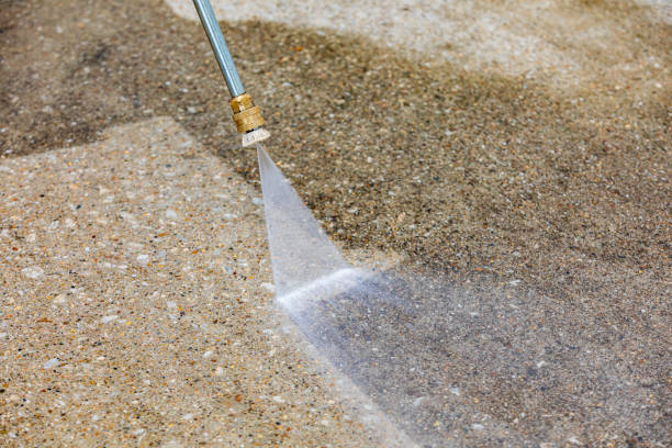 Best Sidewalk and Walkway Cleaning  in New Albany, MS