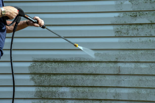Best Patio and Deck Pressure Washing  in New Albany, MS