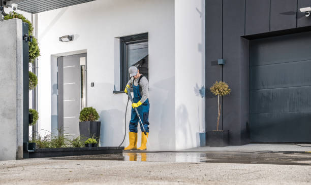 Best Building Exterior Washing  in New Albany, MS
